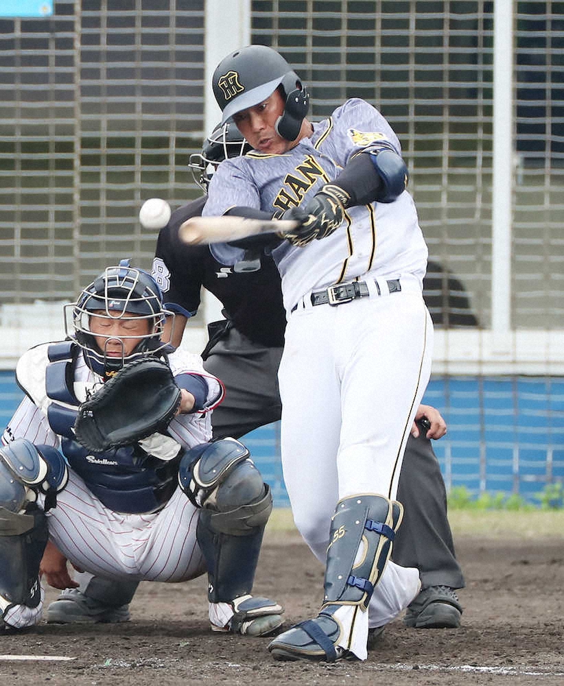 2月のラストに阪神・陽川のヒットショーだ　直球を変化球を4安打