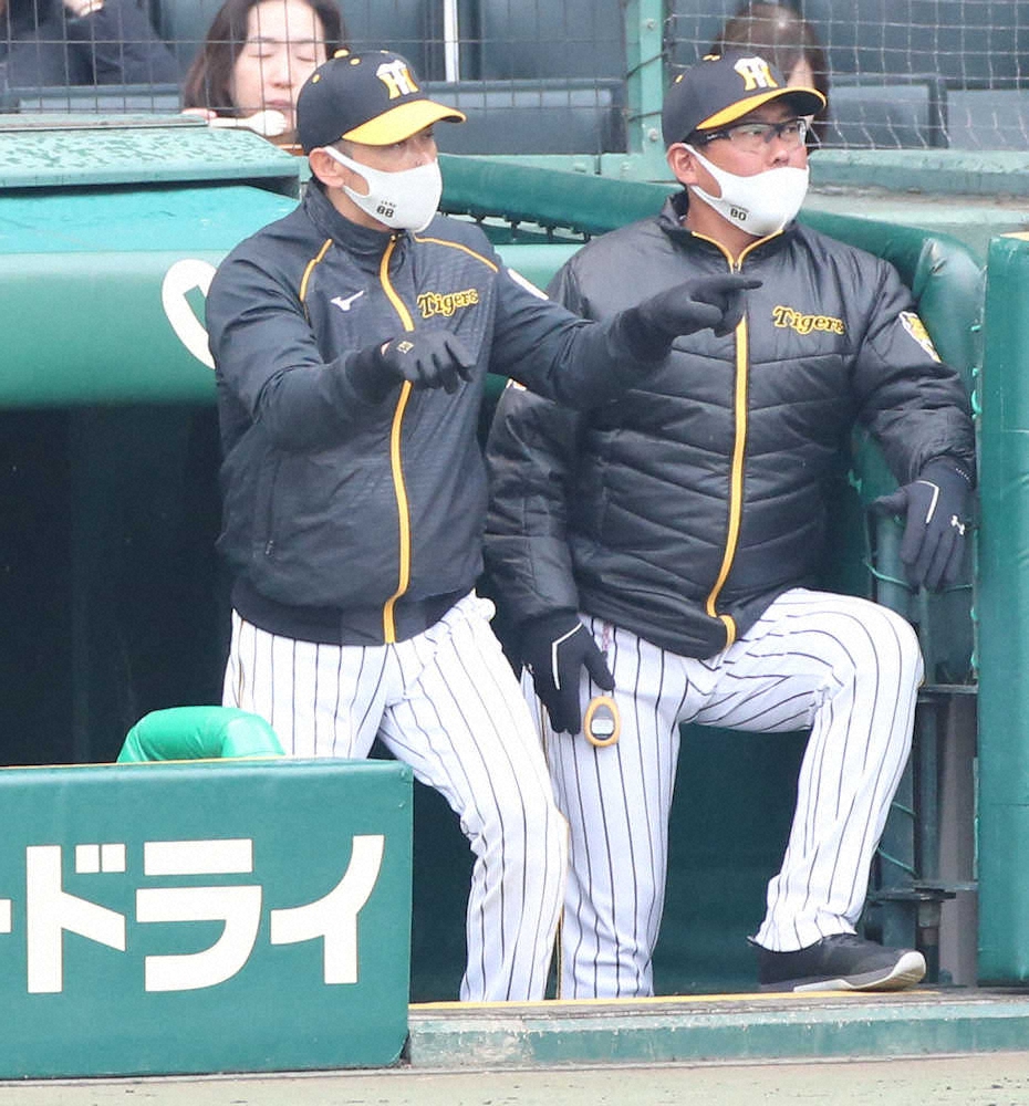 「シーズン中はあるかも」阪神・佐藤輝の3番起用について　矢野監督語録から