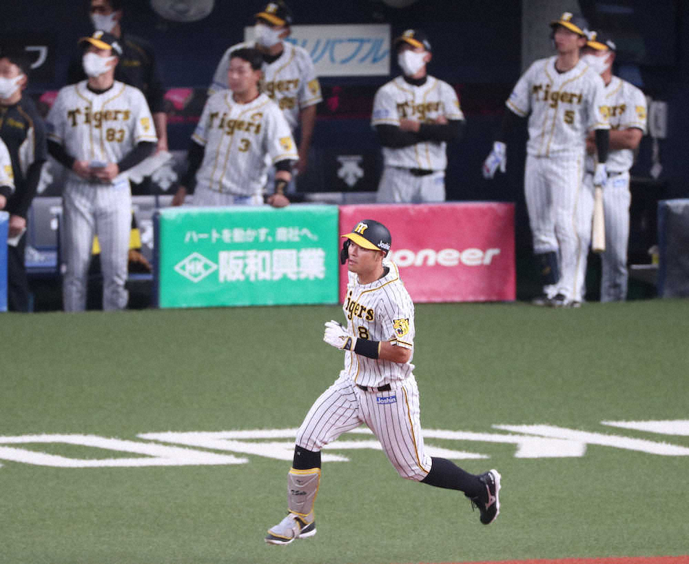 阪神ドラ1佐藤輝　満塁でプロ初の代打出場も右飛　3カード連続本塁打はならず