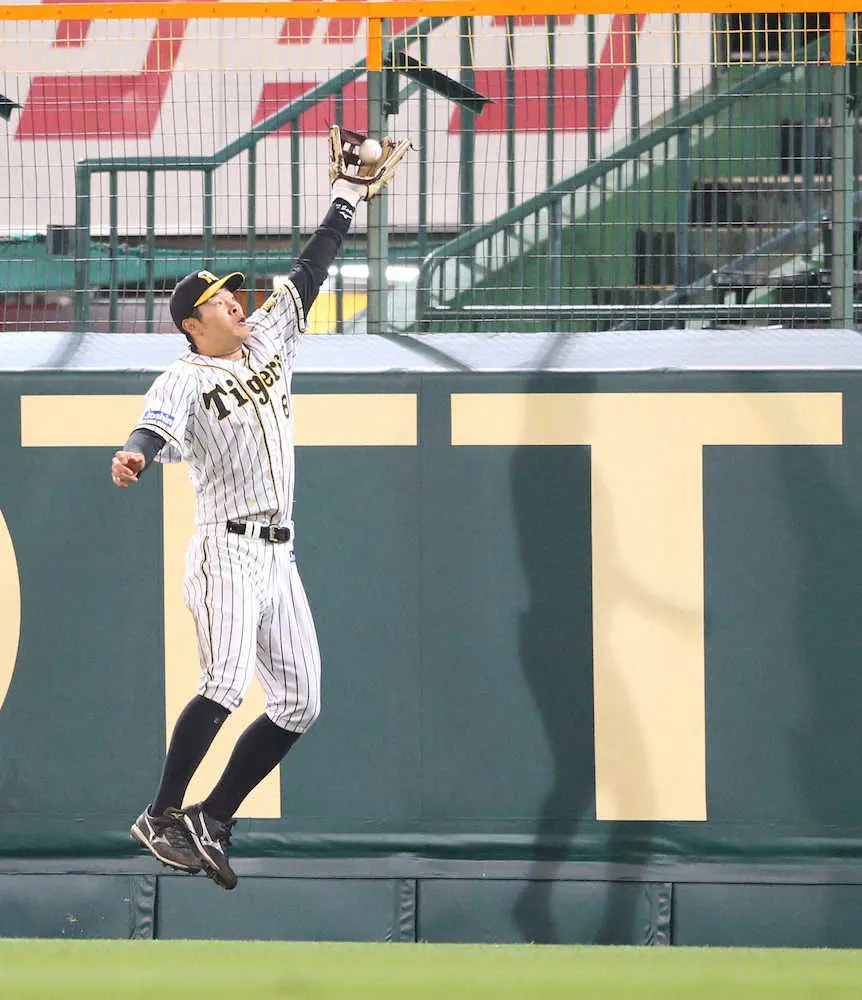 阪神・佐藤輝「だんだん慣れてきたところはある」　本塁打新記録ならずも攻守で勝利に貢献