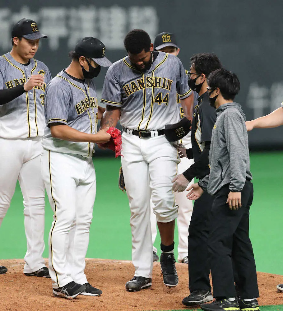 阪神・アルカンタラ、不運…7回に打球が左すね付近を直撃し降板　6回まで無失点投球