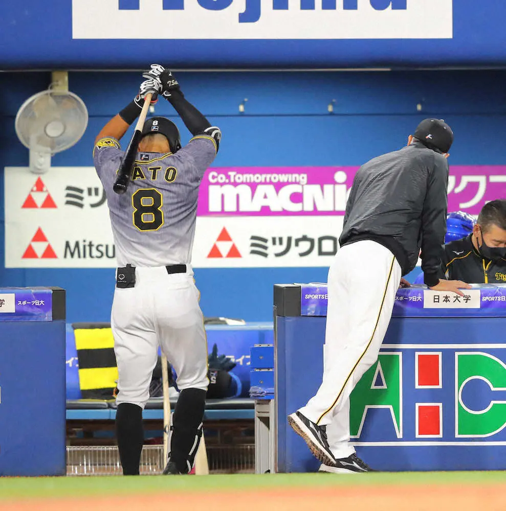 【画像・写真】阪神・矢野監督が終盤にみせた執念采配　佐藤輝に代打・島田で走者進めるも得点にはつながらず