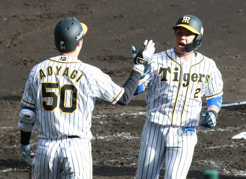 阪神・梅野　収穫と課題を手にした1年「すべて悪いわけではない」　1カ月ぶりの先発で「意地」の二塁打