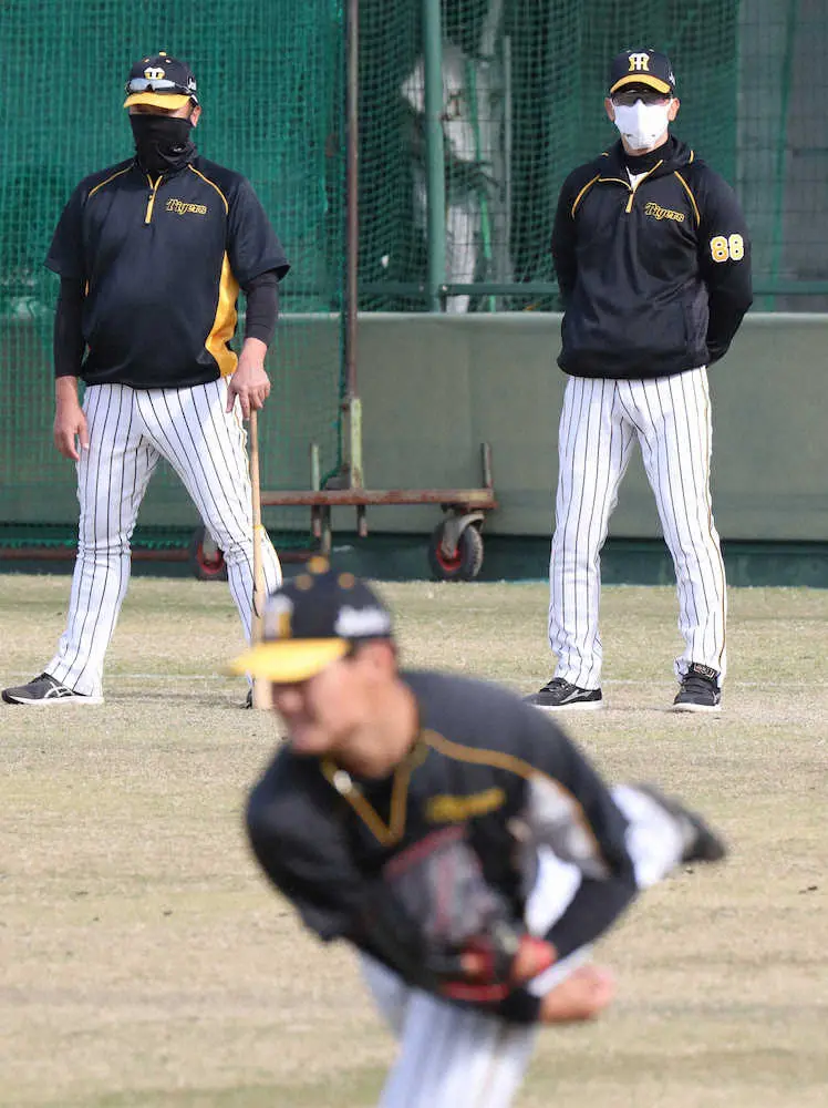 阪神・矢野監督が西純に密着指導　身振り手振り交えブルペン投球の右腕にアドバイス