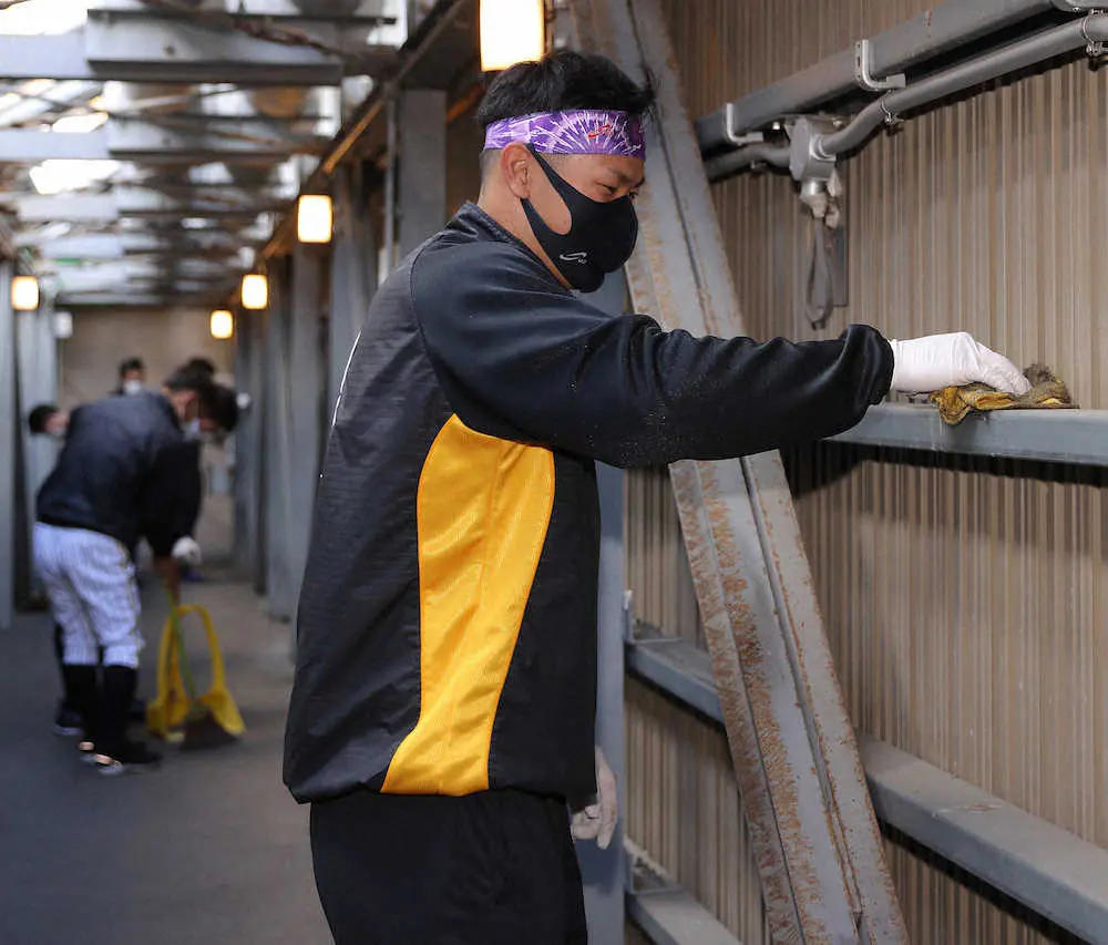 阪神・矢野監督がトイレ掃除「“1年間ありがとう”ということ」、井上ヘッド発案の「感謝の大掃除」実施