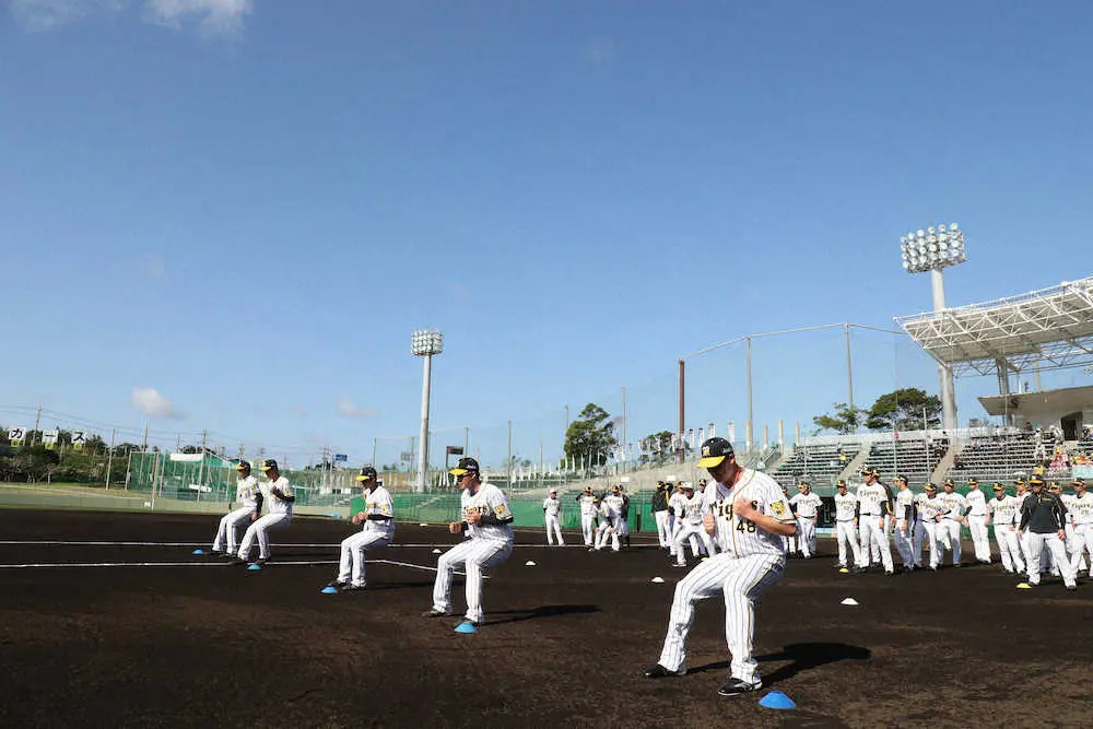 阪神１軍がキャンプを張る沖縄・宜野座球場（写真は昨年）