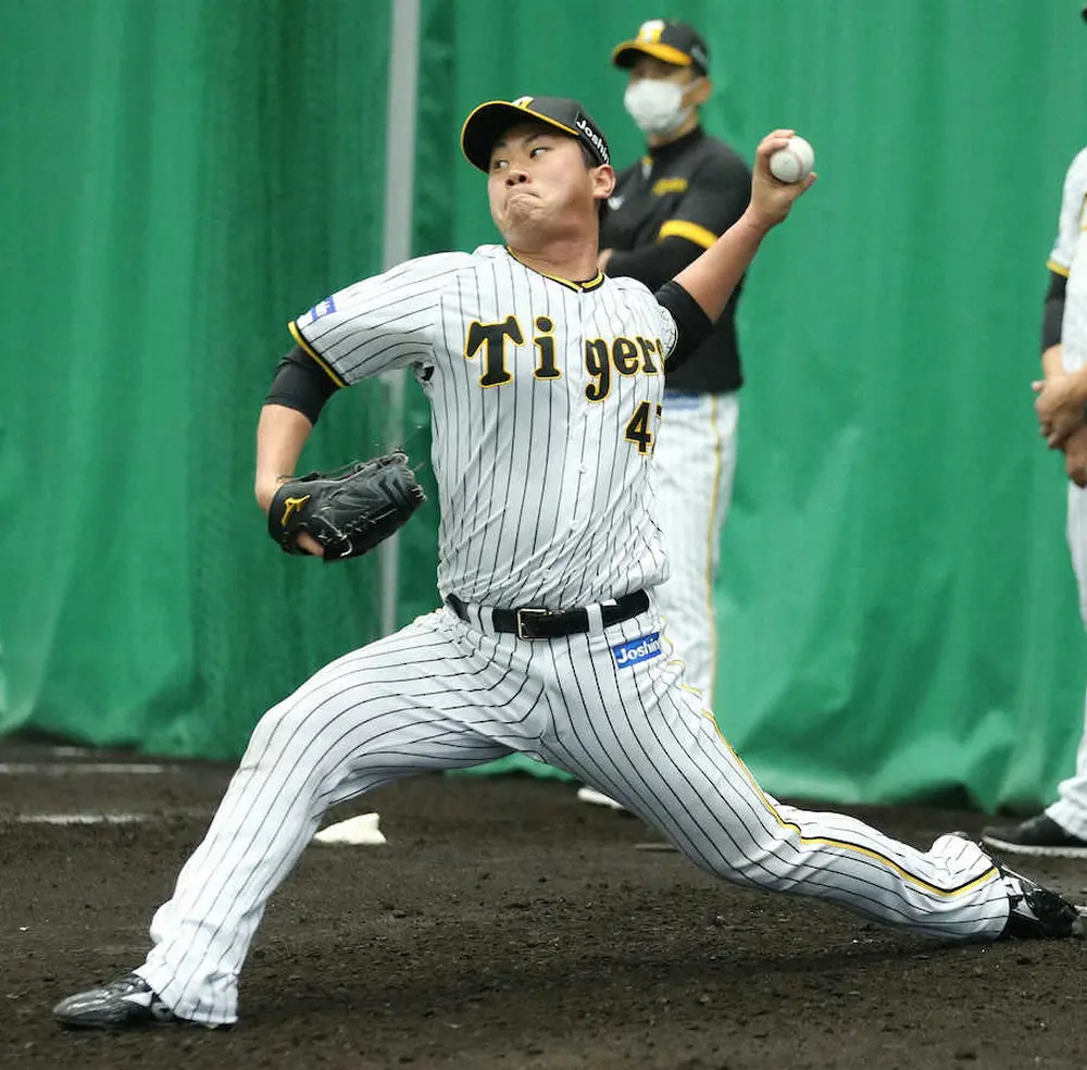 阪神・金村投手コーチ　ルーキー・桐敷と鈴木の実戦デビューに慎重姿勢