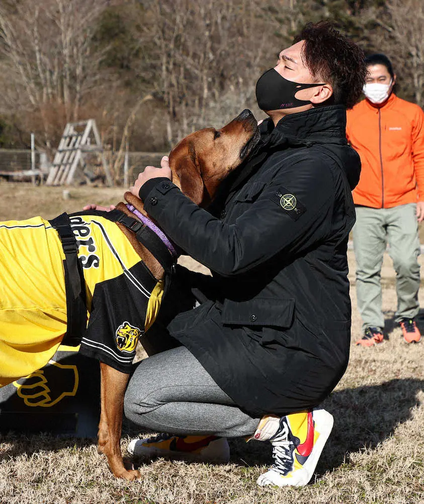 阪神・秋山は“愛犬”のため…“使命”のため…腕を振り続ける