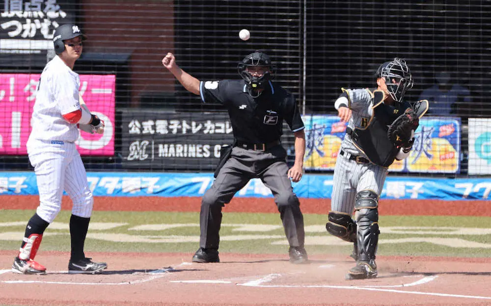阪神・長坂、やるじゃん！　盗塁阻止率100％　初回、角中の二盗を強肩で防ぐ