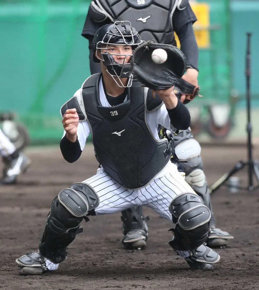 阪神2軍・平田監督　栄枝の今季初3安打を評価「今日は気持ちが入ってた」