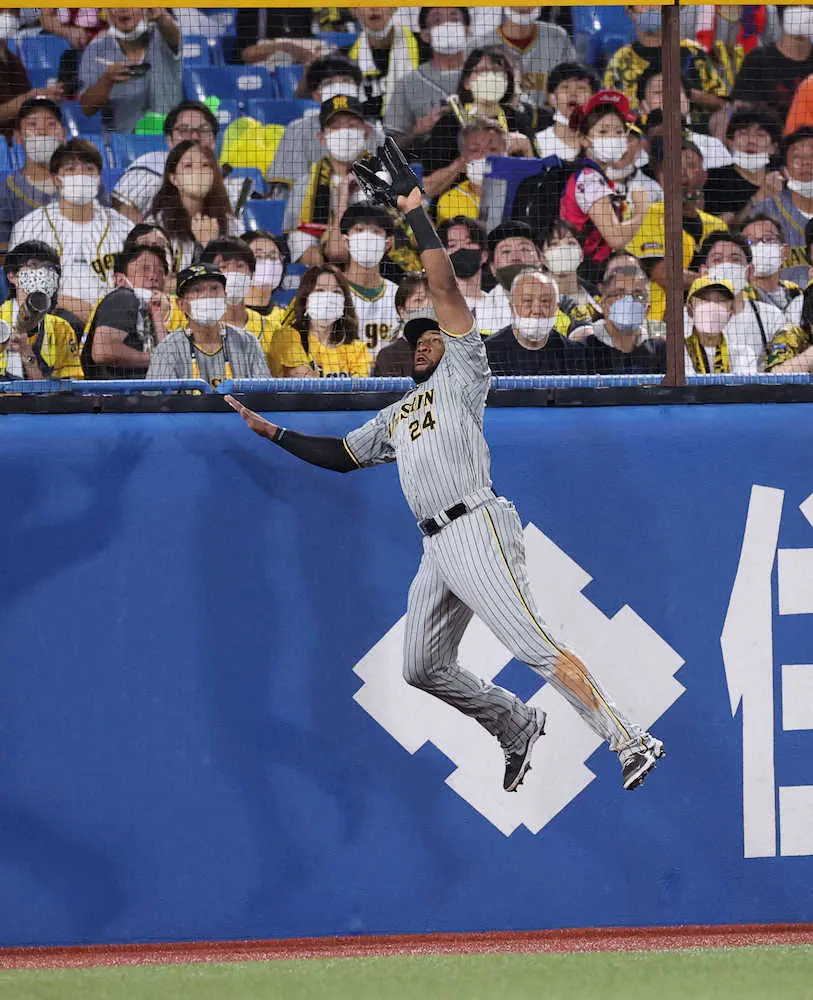 阪神4番・ロハスが左翼守備で伊藤将を救った！　フェンスに激突しながら飛球をジャンピングキャッチ