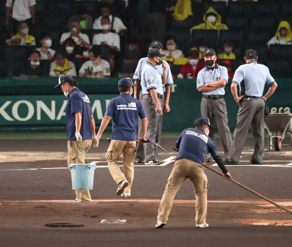 阪神　阪神園芸の迅速修復で試合は午後6時45分に開始　青柳は初回3者連続三振でスタート