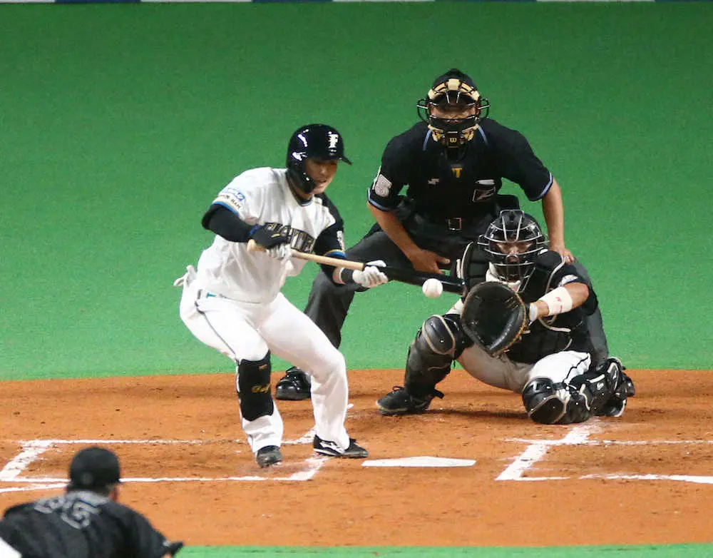 【画像・写真】日本ハム・新庄監督「最高」　細川＆上川畑“コンコン”初回にバント安打競演