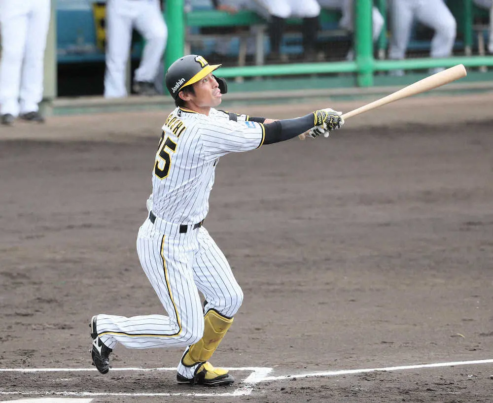 阪神・江越があすから1軍昇格「役割を果たせれば」練習試合では逆方向へ先頭打者アーチ