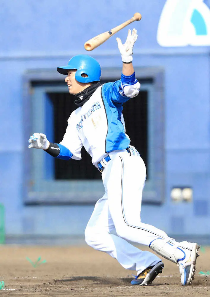 日本ハム・松本剛　11・5侍強化試合に外野手出場で復活だ！