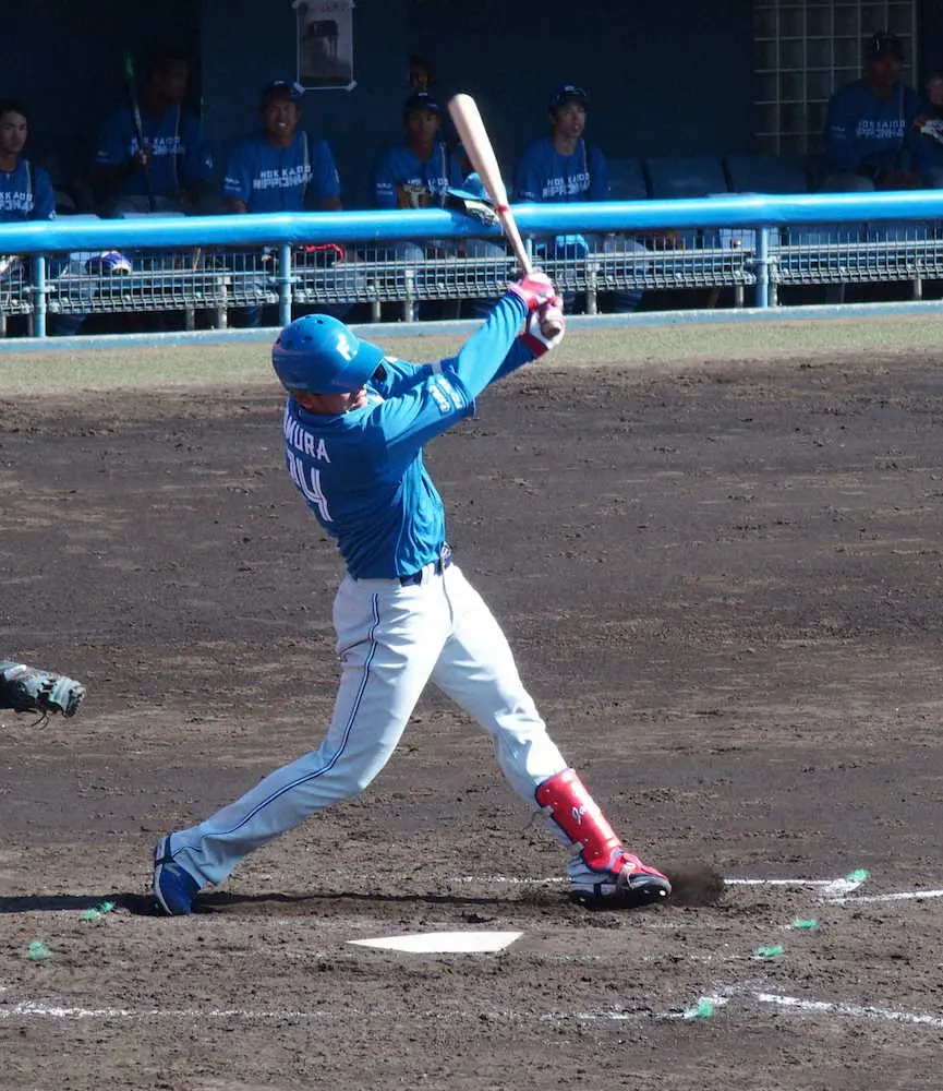 日本ハム4番候補・野村　オフのテーマは打球速度向上　松本剛を参考に安打量産へ