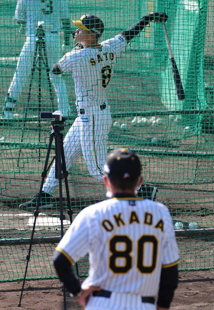 阪神・佐藤輝「全身鍛える」、改造予告の岡田監督からは“放置”　中野は二塁守備「慣れることが大事」