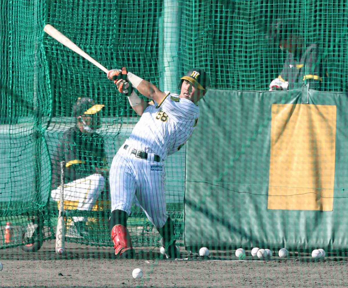 【画像・写真】阪神・井上&前川が来季の新助っ人野手陣に闘志メラメラ　井上「食らいついて」前川「覚悟を持って」