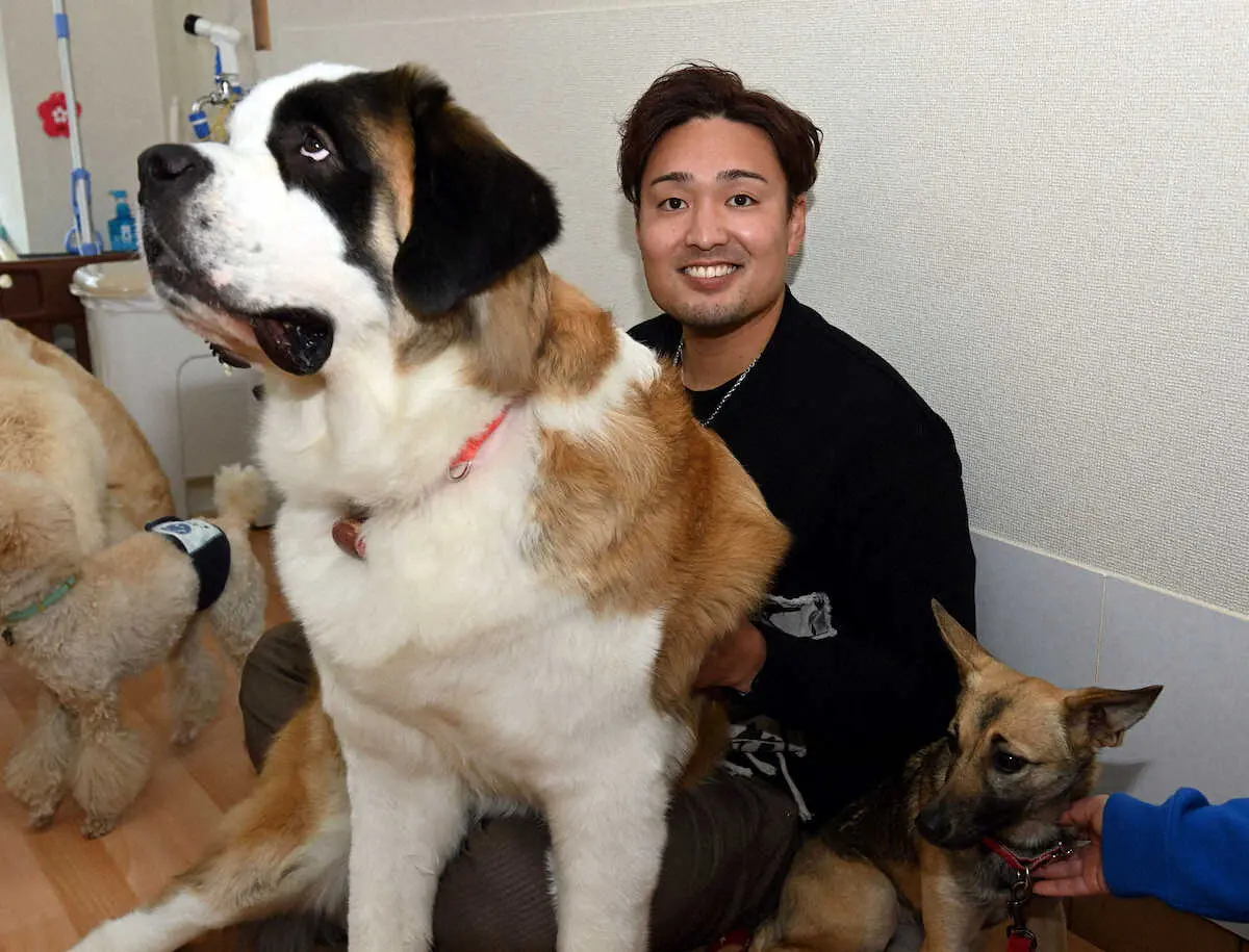阪神・秋山が動物保護施設を訪問し、寄付「大好きな動物のために何か出来れば」