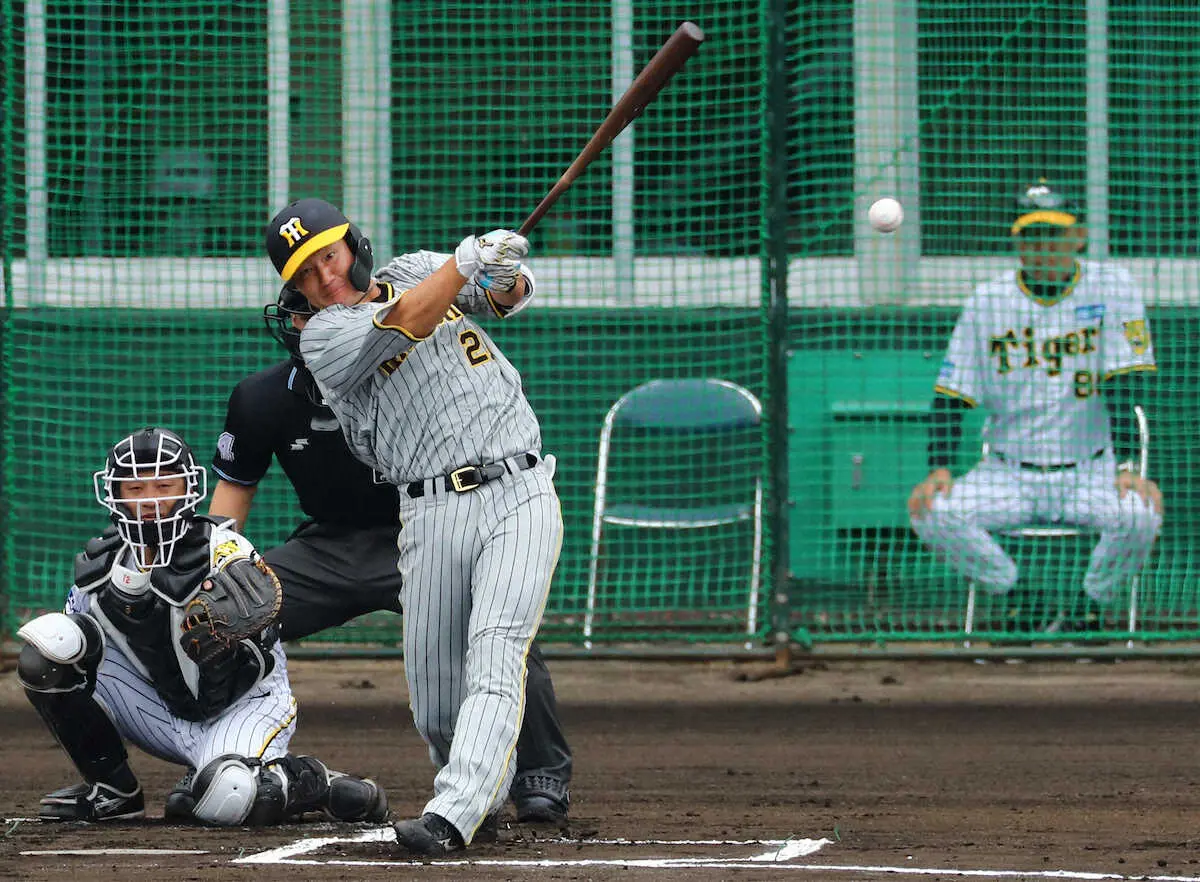 【阪神・岡田監督語録】二塁は渡辺諒に機会を「中野がおらんようになるからな。組まさなあかんわな」