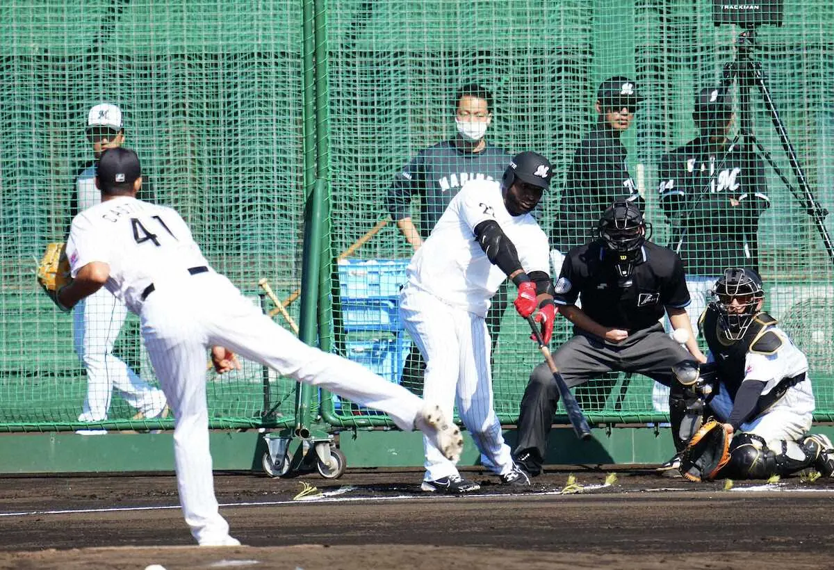 【画像・写真】ロッテ　ポランコ、初ライブBPでバット折られるも「最初にしては自分の思っていた通り」