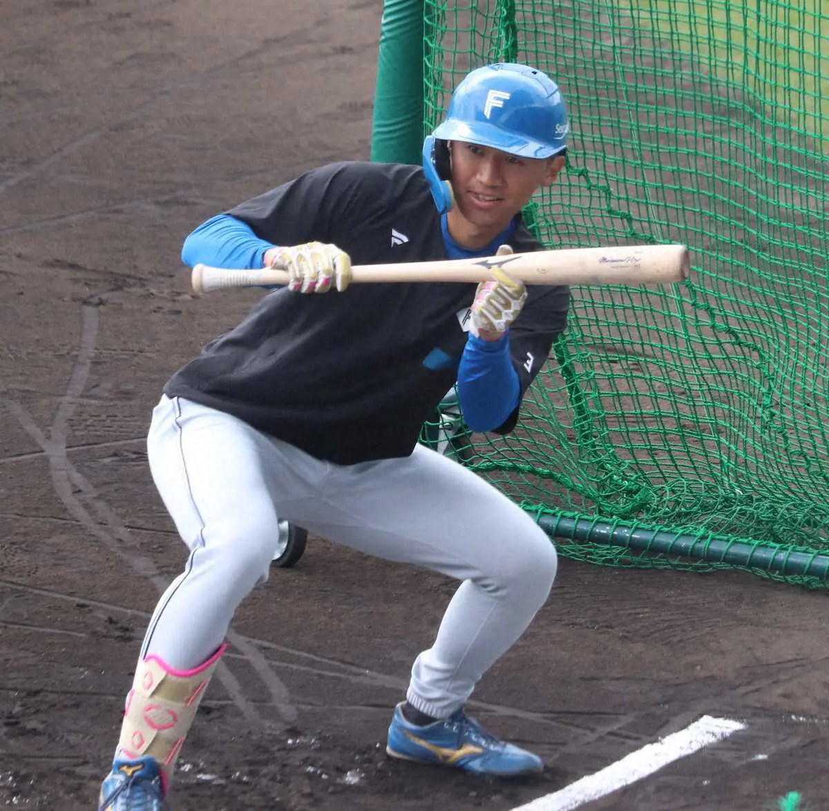 日本ハム・ドラ3加藤豪　今春キャンプ「野球人生22年目で一番勉強したり、習ったりした」