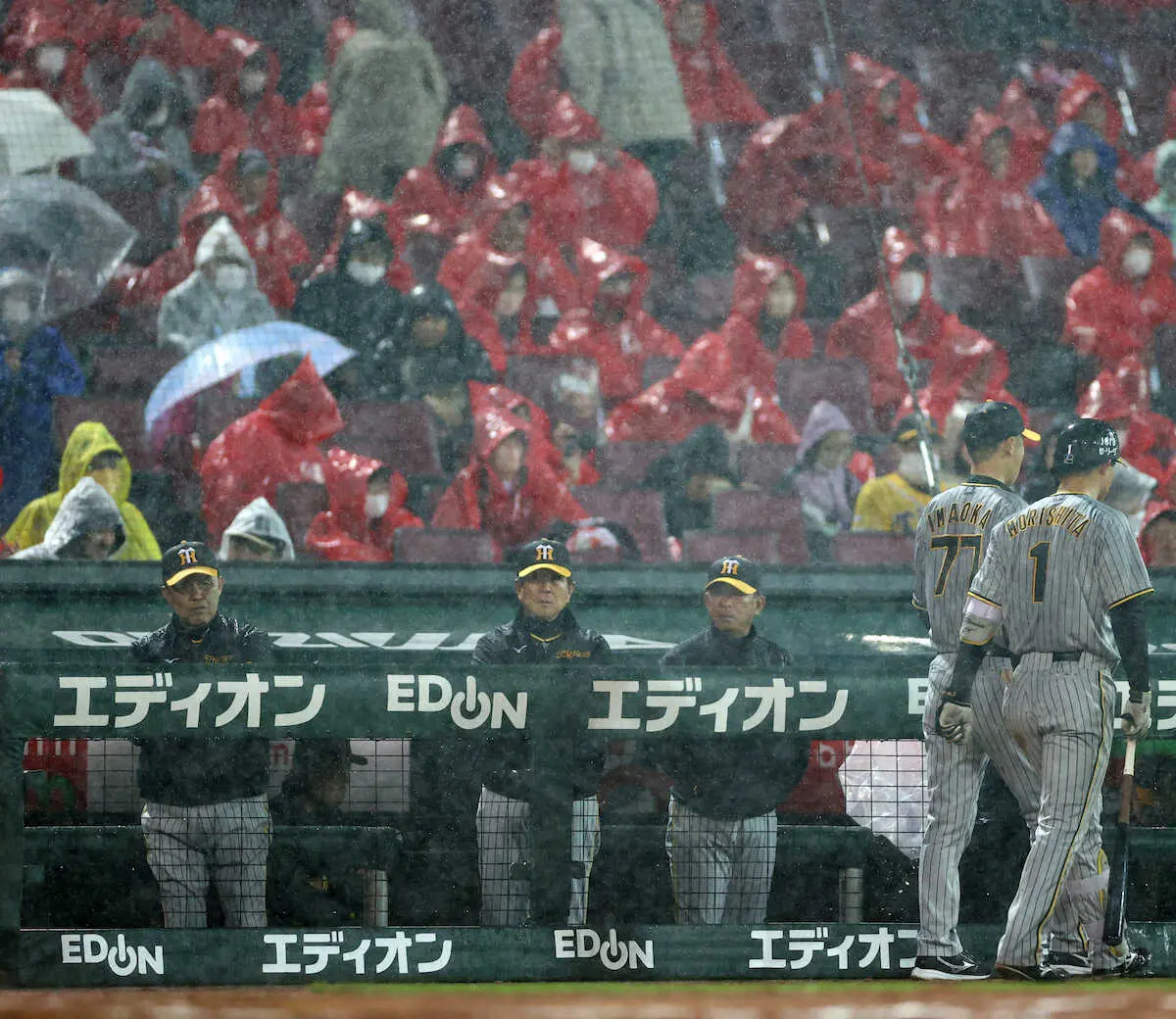 【阪神・岡田監督語録】雨天コールドに「しゃあないのう、これなあ。こっからやったけどなあ」