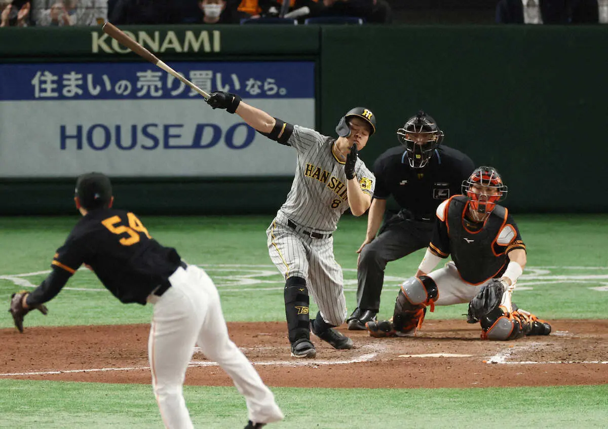 今季初スタメン落ちとなった阪神・佐藤輝　7回1死で代打出場も3球三振に虎党ため息