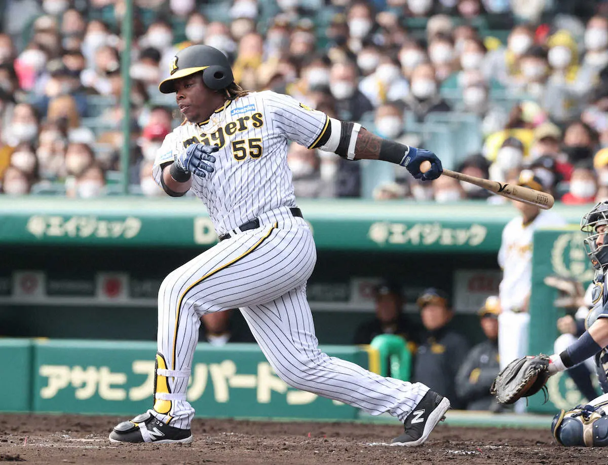 阪神ミエセスが9日甲子園デビューへ「持っている全てを出したい」降雨中止直後に負けるジンクス吹き飛ばせ