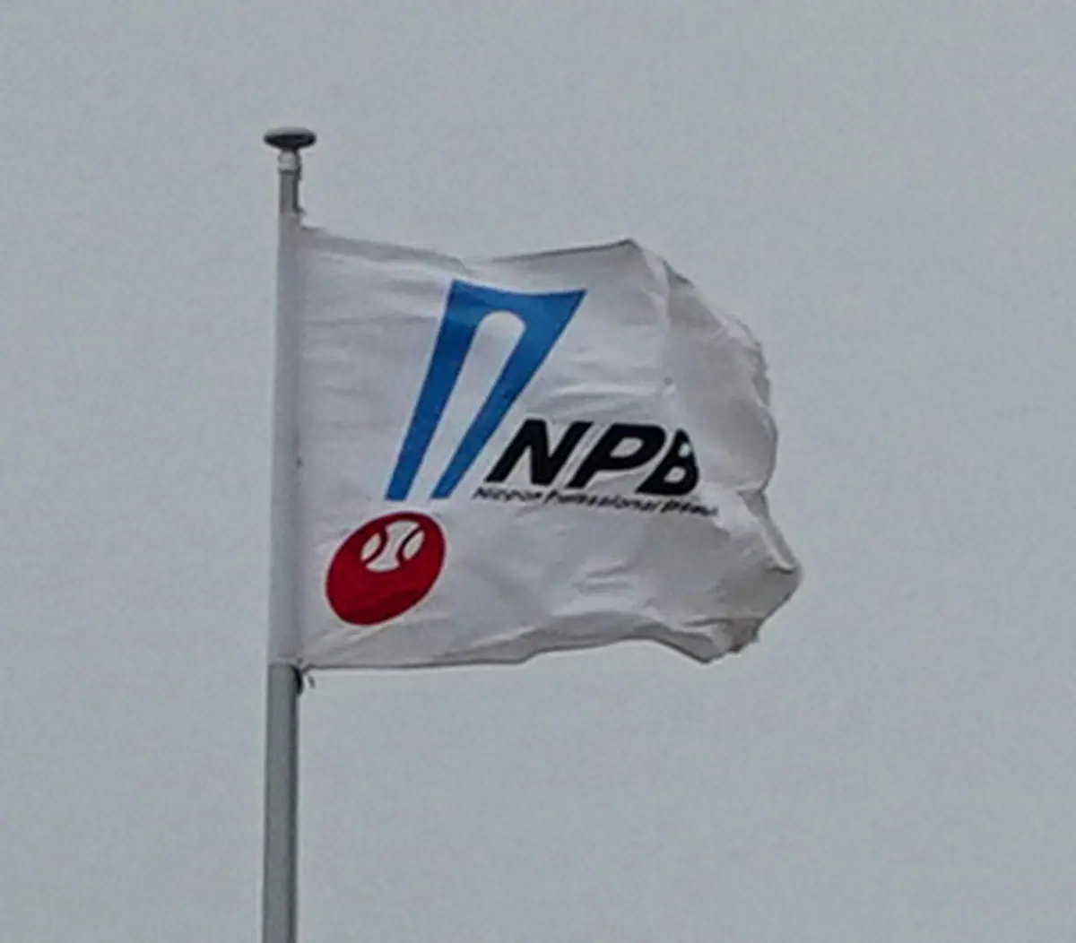NPB　ファーム拡大第2回説明会　信濃、富山、石川、社会人野球「鹿児島ドリームウェーブ」が参加