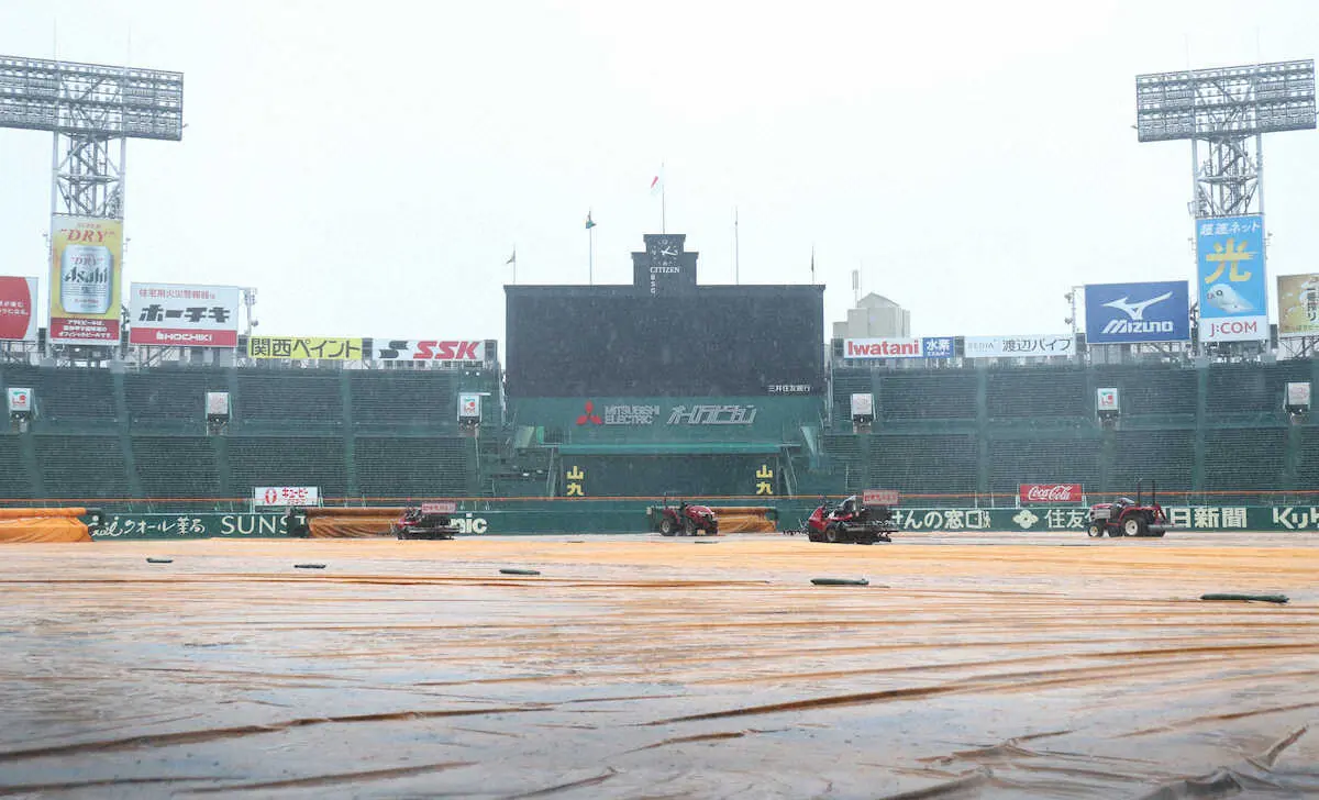 雨の中、シートが敷かれる甲子園球場　（撮影・須田　麻祐子）