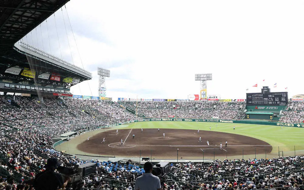 【画像・写真】甲子園出場の全投手　1週間500球の球数制限の影響なし