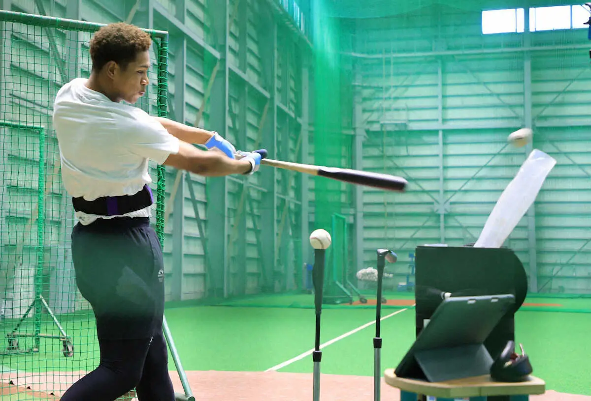 日本ハム万波が鎌ケ谷での自主トレ公開　トラックマン使用し打撃練習「チームのAクラスと40本塁打を」
