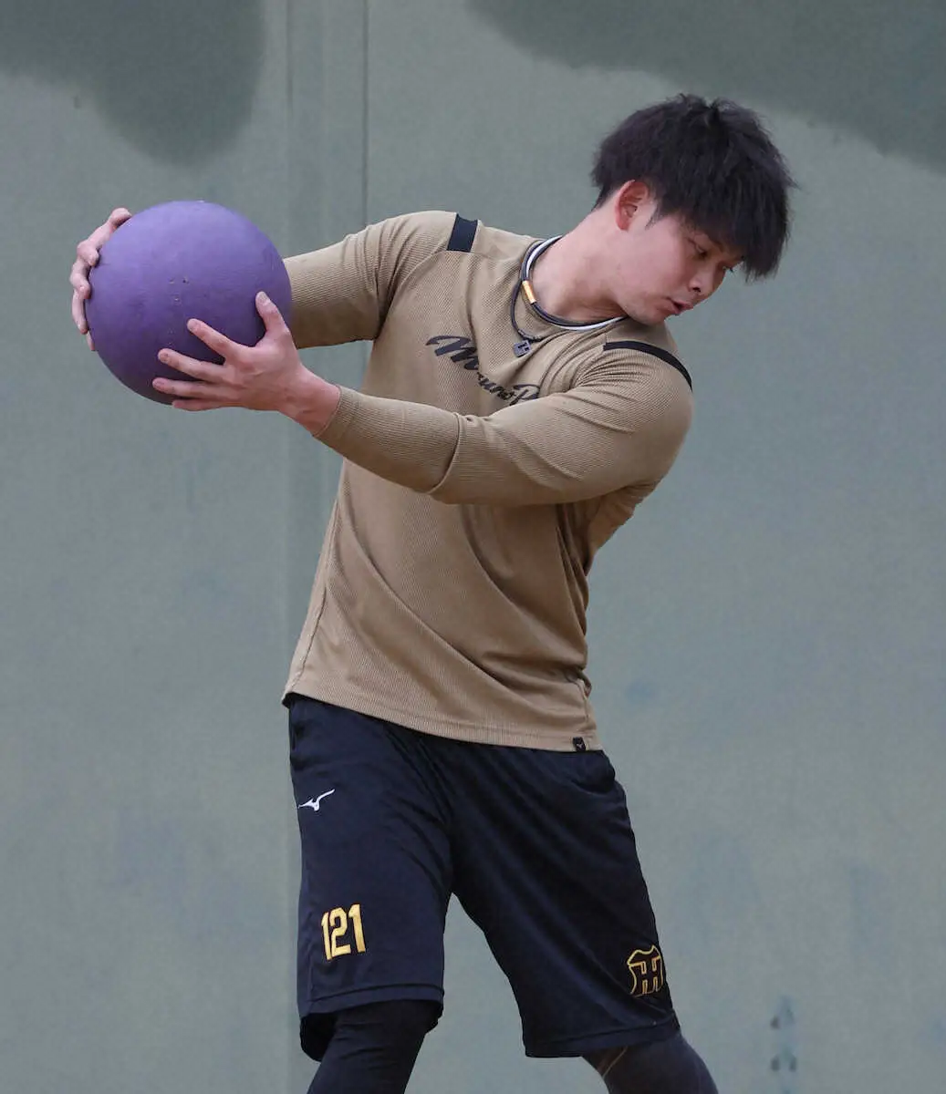 メディシンボールを使って、トレーニングする阪神・野口（撮影・平嶋　理子）