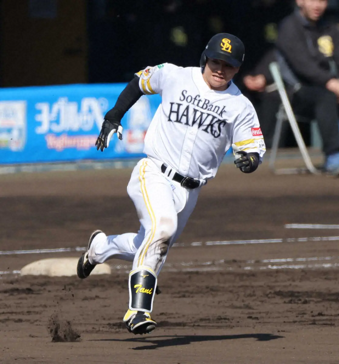 ソフトバンク主力中心のA組が今春初のシート打撃　山川は3の0も…　谷川原は三塁打