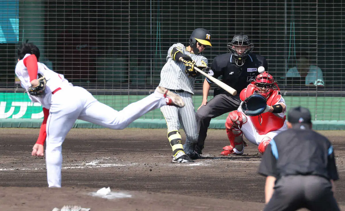 阪神選手会長・中野はバット好調、広島戦で3安打猛打賞