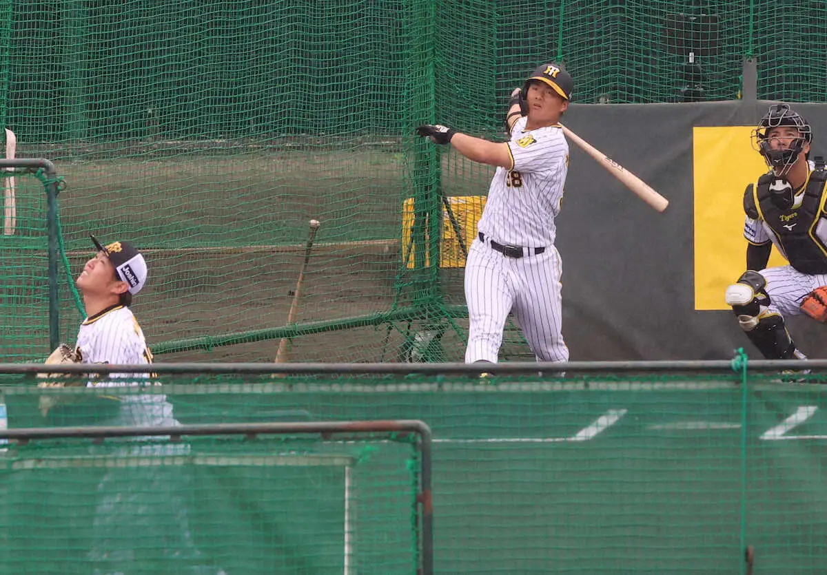 阪神・前川、西勇から豪快仕上げ弾　野手MVP有力候補が進化証明「力感なくいい感じの打球が打てた」