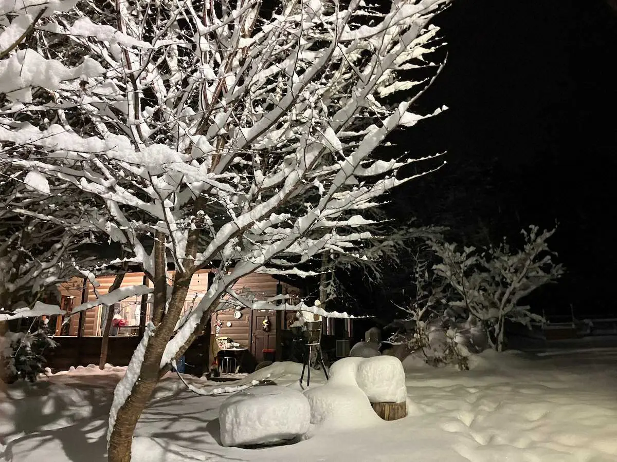 雪が積もった栗の樹ファームの木