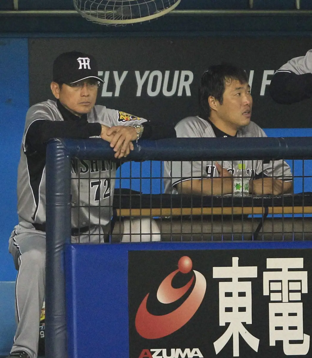 11年、阪神・真弓監督の横で試合を見つめる関本内野手