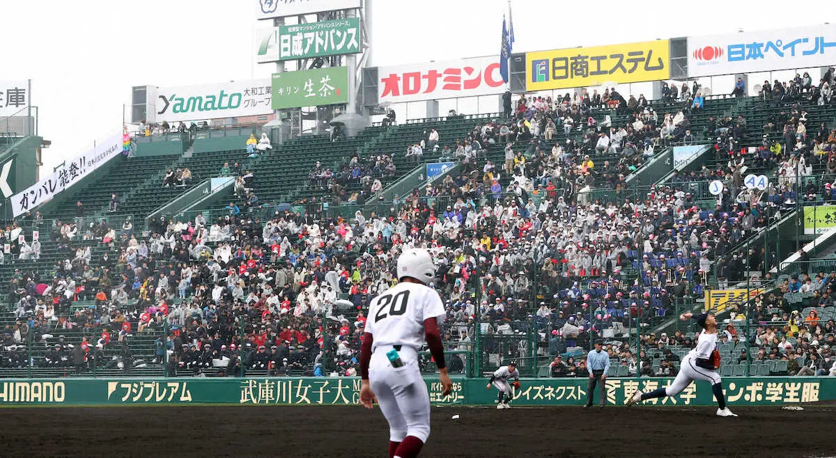 【センバツ】日本航空石川　“友情応援”で計100人が野球部員に大声援
