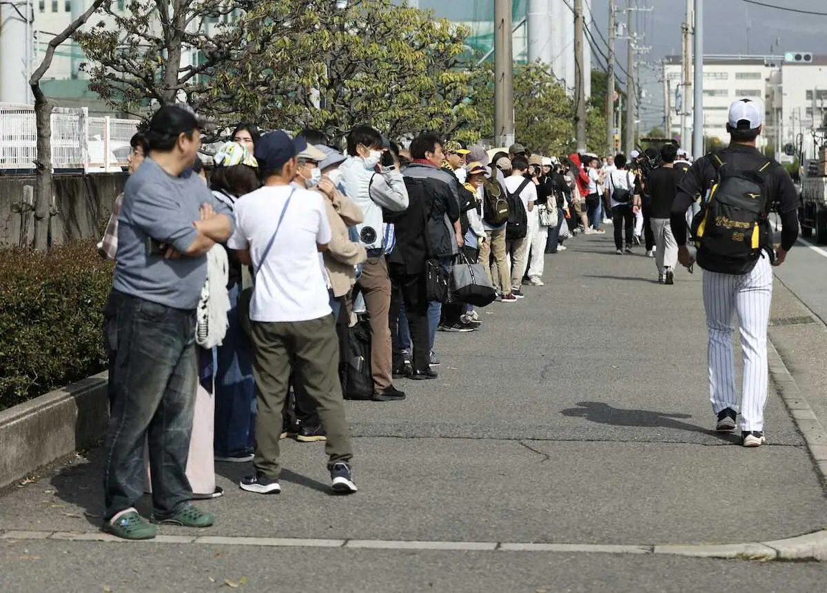 阪神　高橋復帰登板に180人が長蛇の列　早朝から鳴尾浜球場開門待ち