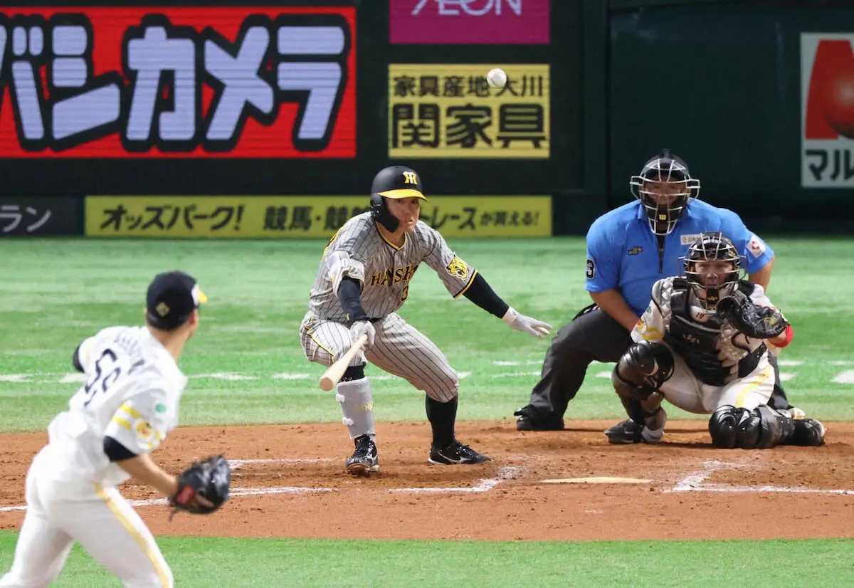 阪神・糸原　2年ぶり先発一塁で攻守に存在感　ダイビングキャッチ&チーム唯一のタイムリー
