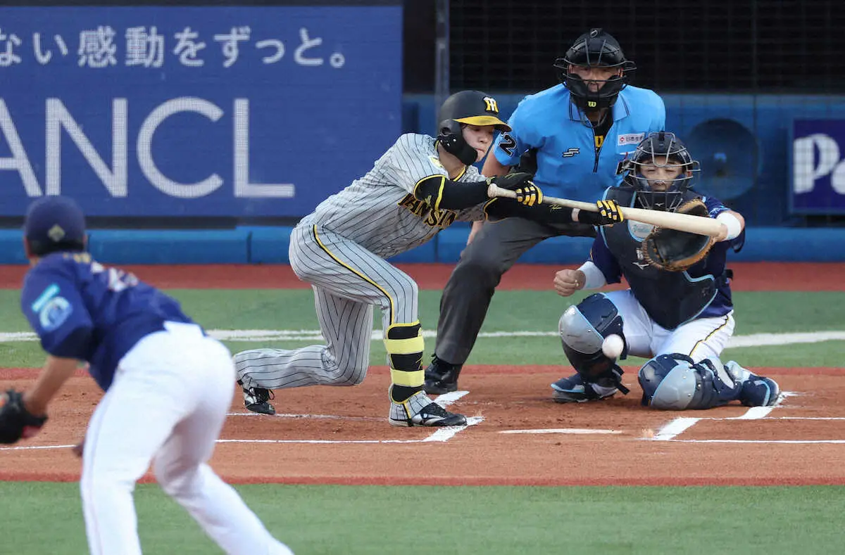 ＜D・神＞　初回無死一塁、阪神・中野は送りバントを決める（投手・吉野）（撮影・大森　寛明）