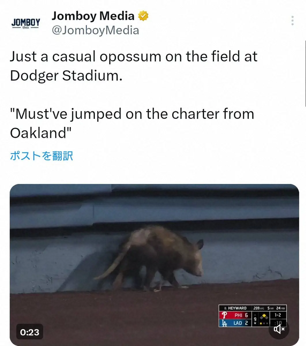 ドジャース戦の試合中にポッサムが出現した動画を投稿した米メディア「ジョンボイ・メディア」の公式X（@JomboyMedia）より