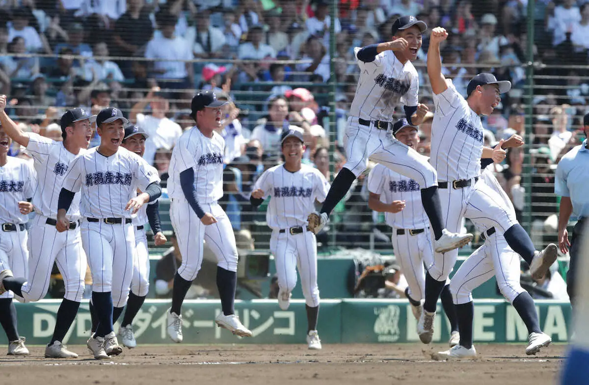 ＜花咲徳栄・新潟産大付＞　初戦突破に歓喜の新潟産大付ナイン　（撮影・後藤　大輝）