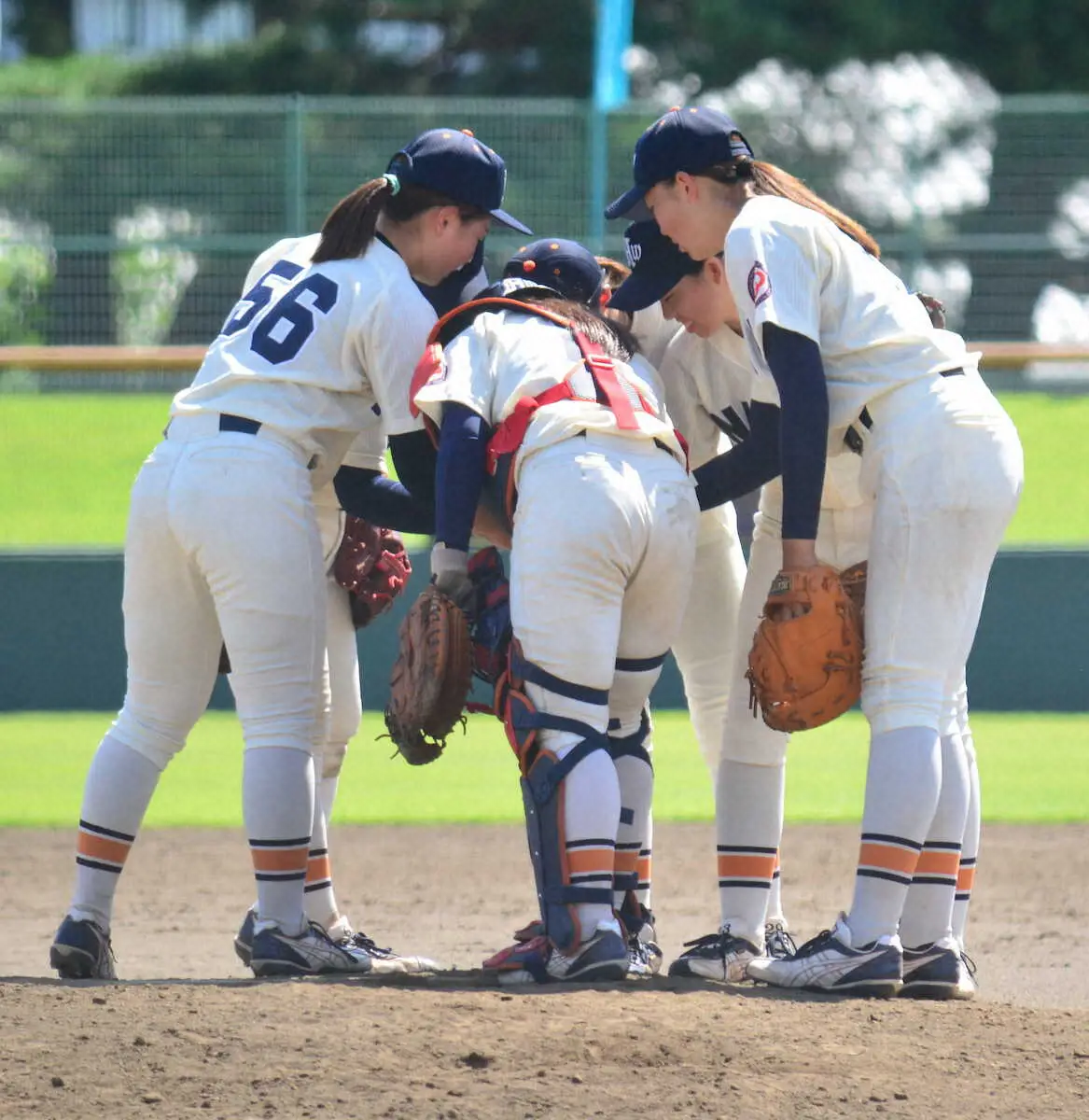 【画像・写真】【女子野球はなまき大会】4月創部の新潟医療福祉大が決勝進出　唯一の2年生、中原が力投「いい仲間たち」