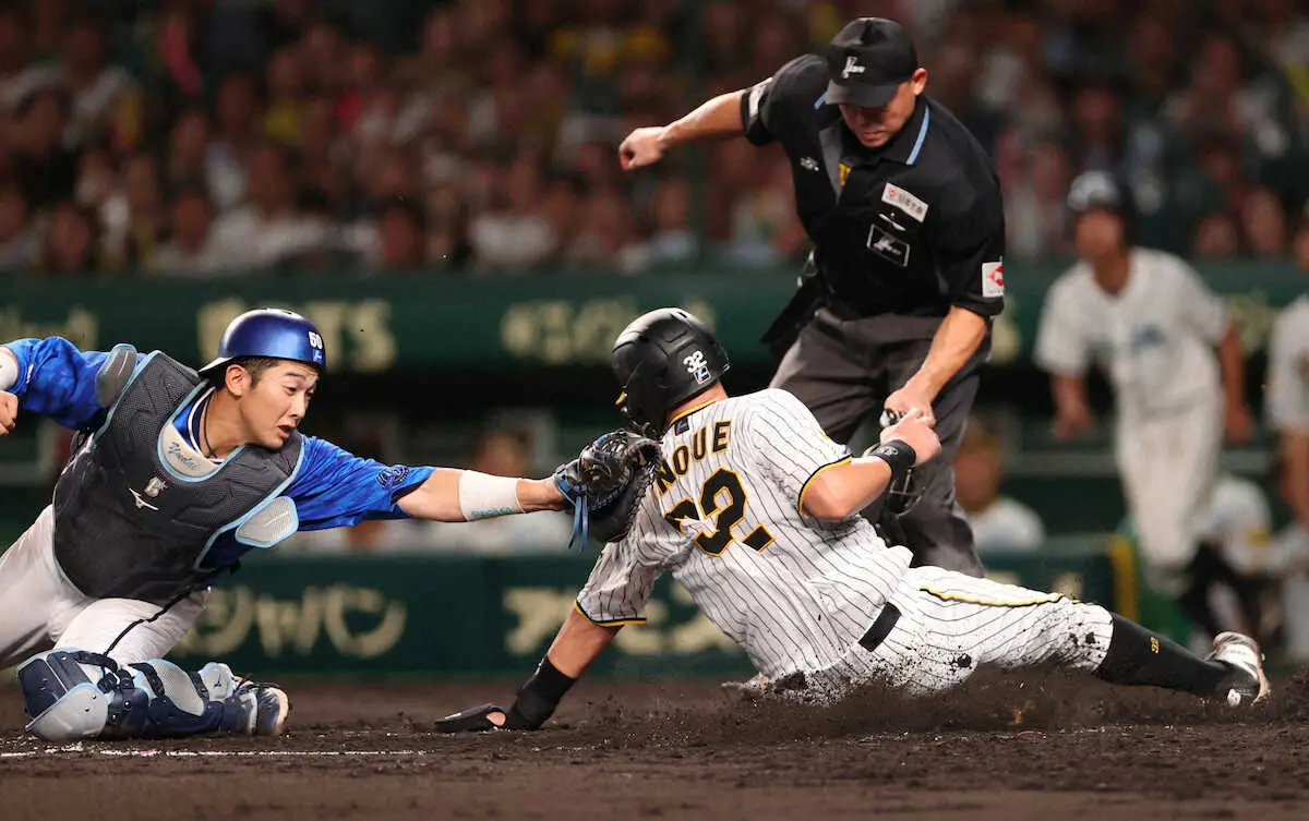 阪神　三走の井上が好走塁で、きわどく同点の生還を果たす　