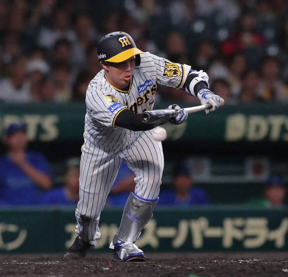 【画像・写真】阪神「雨柳さん」劇場　雨で急変…逆転許すも“神スクイズ”決め144日ぶり2勝目