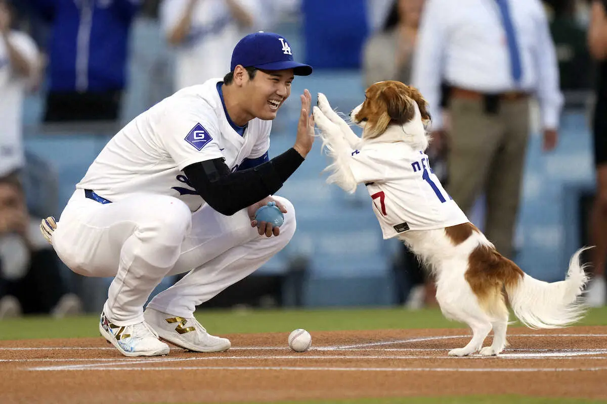 【画像・写真】大谷翔平「50―50」達成時に使用したデコピンスパイクなど用具一式が米野球殿堂博物館に展示へ