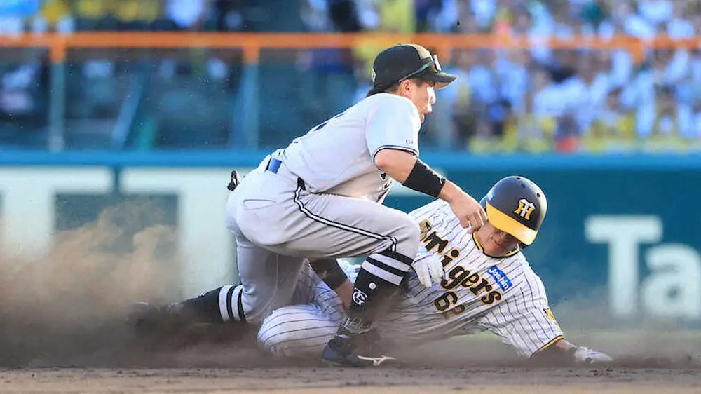 赤星憲広氏　逆転優勝へ阪神は残り5試合全部勝つしかない、まだ終わりじゃない